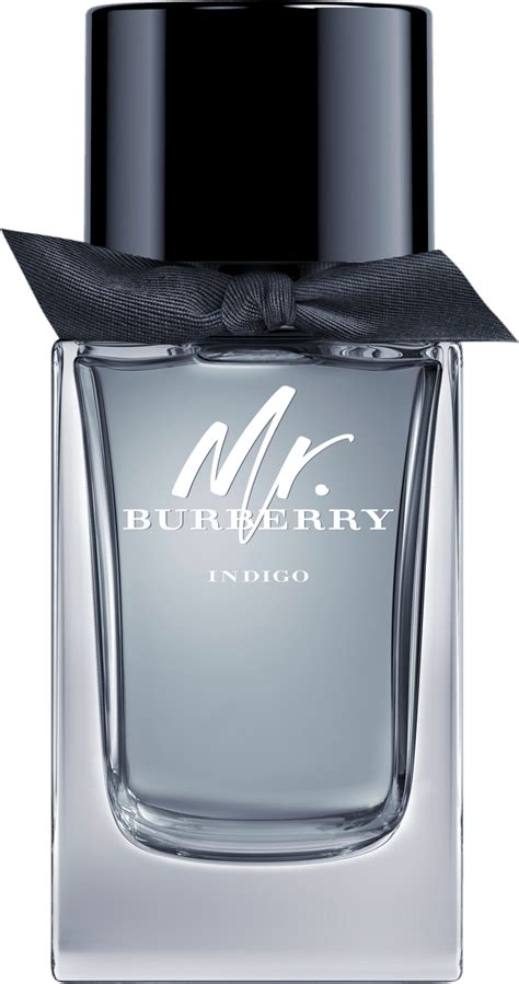 burberry indigo 100ml price|burberry indigo for men.